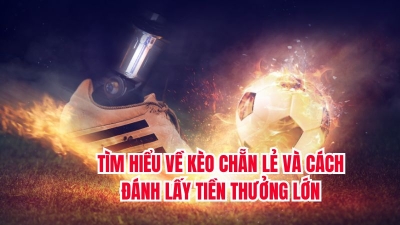 Tìm hiểu về kèo chẵn lẻ và cách đánh lấy tiền thưởng lớn